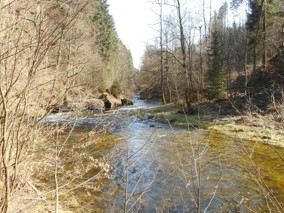 Řeka Kamenice v Návarově (Zlatá Olešnice). Datum: 07.04.2020.