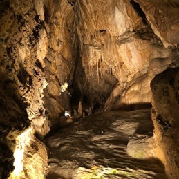 Krasová výzdoba Bozkovských dolomitových jeskynní. © Zdroj: Tripadvisor.cz.