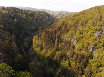Pohled z vyhlídky Krkavčí skála směrem na sever (Podspálov). Datum: 08.05.2020.