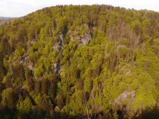 Pohled z vyhlídky Krkavčí skála na protější skalnatý svah údolí Jizery. Datum: 08.05.2020.